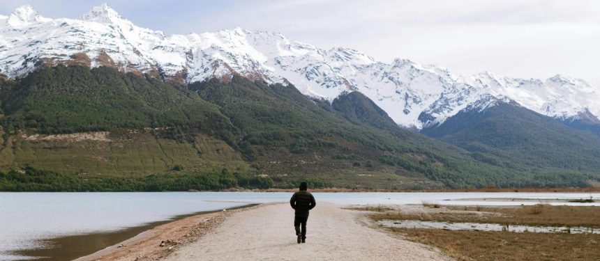 You are currently viewing Student sentiment shifting to New Zealand, Germany and the US