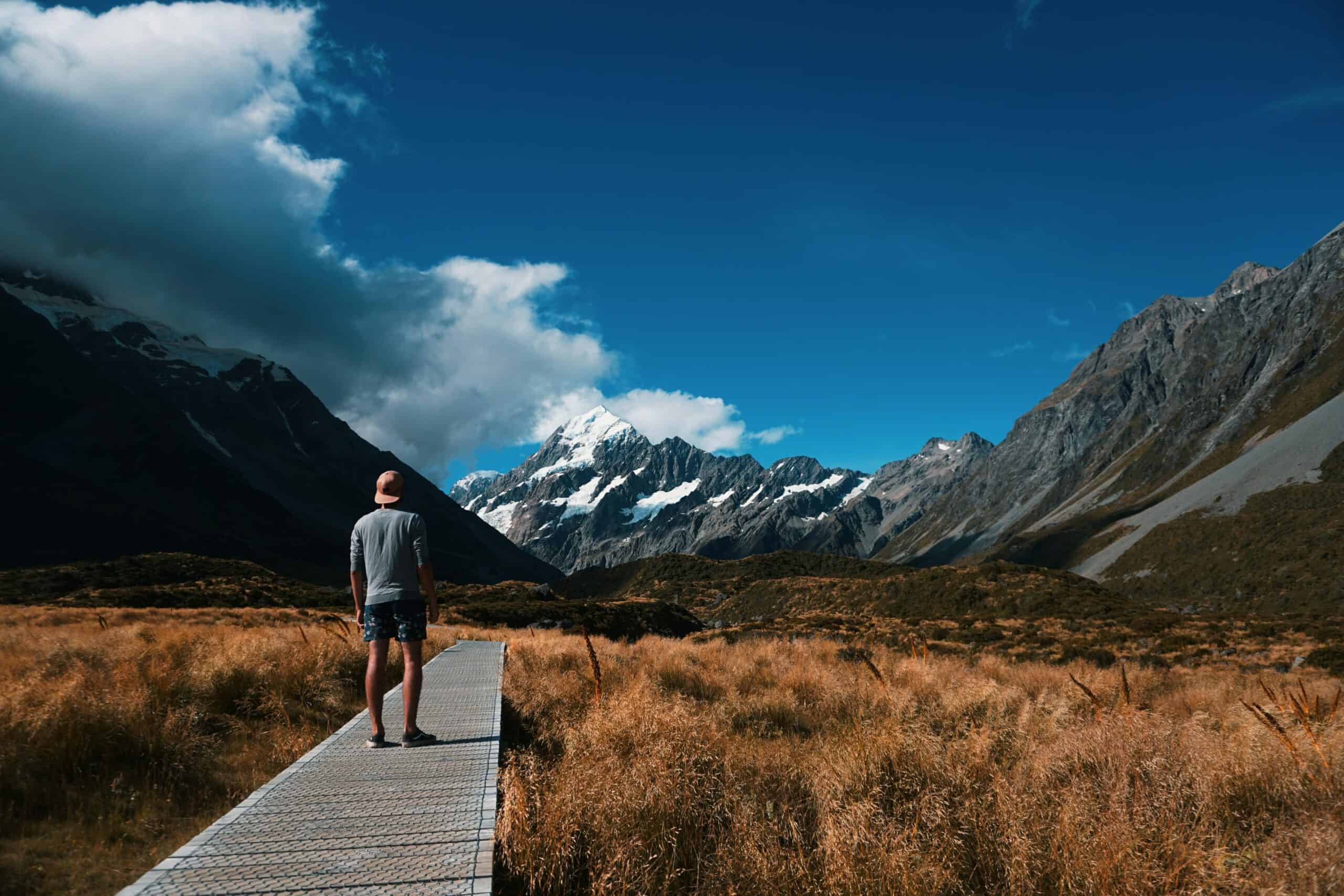 You are currently viewing New Zealand’s international education sector booms